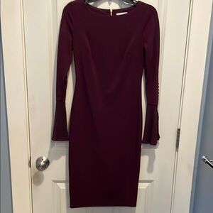 Elegant Plum Long Sleeve Dress